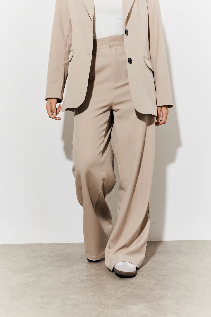 In The Style Tailored High Waist Trousers in Taupe